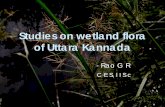 Studies on wetland flora of Uttara Kannadawgbis.ces.iisc.ernet.in/energy/lake2006/programme... · 2 Cyperus halpan 3 Geissaspis cristata 4 Lindernia crustacea 5 Fimbristylis tetragona