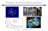 P5 Report: The Particle Physics Roadmap · P5 stands for: Particle Physics Project Prioritization Panel. It is a subpanel of HEPAP, the High Energy Physics Advisory Panel. Through