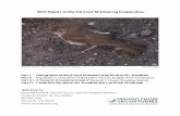 2010 Report to the Vermont Monitoring Cooperative · 2010 Report to the Vermont Monitoring Cooperative Part I. Demographic Monitoring of Montane Forest Birds on Mt. Mansfield Part