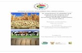 An assessment of subsidies and support in developed and ... · to identify and assess the impact of agricultural subsidies offered by South Africa’s selected trading partners and