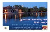 Quantum Entanglement - Harvard Universityqpt.physics.harvard.edu/talks/hebrew.pdfThe quantum theory of a black hole in a 3+1-dimensional negatively curved AdS universe is holographically