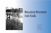Managing Wisconsin Fishponds · Managing Wisconsin ... response to the growing interest in managing ponds for both recre-ational and commercial fishing. Its purpose is to provide