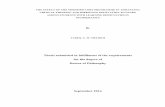 Thesis submitted in fulfillment of the requirements for ... · THE EFFECT OF THE MODIFIED CORT PROGRAMME IN ENHANCING CRITICAL THINKING AND IMPROVING MOTIVATION TO LEARN AMONG STUDENTS