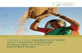 HOW CAN AGRICULTURE AND FOOD SYSTEM POLICIES IMPROVE NUTRITION Panel... · importance of linking agriculture and food markets with improved health and nutrition. Recent food price