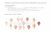 Chapter 2: Human Body Systems Work Independently and Togetherjohnstonsd36.weebly.com/uploads/2/1/3/3/21338878/... · Chapter 2: Human Body Systems Work Independently and Together