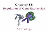 Chapter 18 · of gene expression trpE gene trpD gene trpC gene trpB gene trpA gene (b) Regulation of enzyme production (a) Regulation of enzyme activity Enzyme 1 Enzyme 2 Enzyme 3