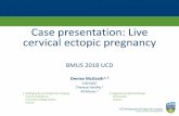 Case presentation: Live cervical ectopic pregnancy10mm gestational sac, yoke sac and embryo (bagel sign noted ) • The CRL measurement is 7.7mm Cardiac activity (FHR of 132bpm) was