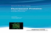 Fluorescent Proteins: Theory, Applications and Best Practices€¦ · Others switch colors, changing from green to cyan, for example. Also known as photoswitchable or photoactivatable