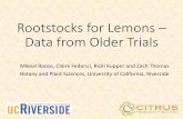 Rootstocks for Lemons – Data from Older Trials– intrinsic fruit quality (internal quality differs for lemons) – fruit size (reduction desirable for late navels) • Stresses