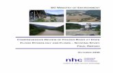 BC MINISTRY OF NVIRONMENT · BC Ministry of Environment P.O. Box 9340 Stn Prov Govt ... Comprehensive Review of Fraser River at Hope Flood Hydrology and Flows Scoping Study – Final