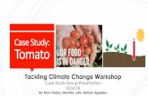 Case Study: Tomato - CCARDESA Presenta… · Training on tomato processing Empowering women for value-addition of tomato Research Genetic engineering to develop drought- and heat-tolerant