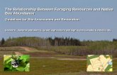 The Relationship Between Foraging Resources and Native Bee ... res… · The Relationship Between Foraging Resources and Native Bee Abundance. Guidelines for Site Assessment and Restoration.