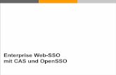 Enterprise Web-SSO mit CAS und OpenSSOalt.java-forum-stuttgart.de/jfs/2009/folien/F2.pdf · Configuration Data Store Policy Store Authentication / Authorization Request Access Management-