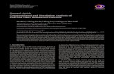 Research Article Computational and Simulation Analysis of ...downloads.hindawi.com/journals/amse/2014/576052.pdf · Computational and Simulation Analysis of ... e computational and