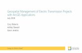 Geospatial Management of Electric Tranmission Projects ...€¦ · 7 Central Geospatial Database GIS Coordinator (SCE) GIS Data Lead (Contractor) Data Owner (Contractor Subject Matter