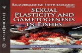 Sexual Plasticity and Gametogenesis in Fishescld.persiangig.com/dl/D1Ny78/Sexual Plasticity and Gametogenesis i… · FISH, FISHING AND FISHERIES SEXUAL PLASTICITY AND GAMETOGENESIS