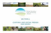 Golden Horseshoe Economic Profile - Section 6: Cultural ... · SECTION 6 - Cultural and Social Trends and Issues . October 2014 . 6.6.2 2 . Figure 6.1 - Built Boundary for the Greater