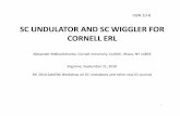 SC UNDULATOR AND SC WIGGLER FOR CORNELL ERL 10-8.pdf · m-long undulators is under discussion also. ... First Test of Short Period Helical SC Undulator Prototype , CBN 02-6, 2002.