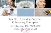 Insulin: Breaking Barriers Enhancing Therapies · Insulin Therapy for Type 2 Diabetes: Making It Work. JFPONLINE.com Vol 59, Apr 2010 2. Insulin Regimens for Type 2 Diabetes Mellitus.