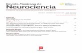 Revista Mexicana de Neurocienciarevmexneurociencia.com/portadas/rmn_20_21_2.pdf · Revista Mexicana de Neurociencia ORIGINAL ARTICLE Abstract Background: Attention deficit hyperactivity