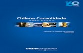 MEMORIA Y ESTADO FINANCIERO - Chilena · 2013-05-09 · de los principios establecidos en la norma, ... Las clasificaciones de los contratos de seguros vigentes han sido clasificadas