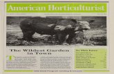 No. 1- - American Horticultural Society · Vol. 69 No. 1-News Edition A Publication of the American Horticultural Society January 1990 ... Kentucky coffee tree, empress tree, paulownia,