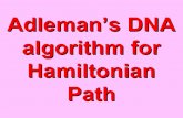 Problem Salesman The - Computer Action Teamweb.cecs.pdx.edu/~mperkows/temp/June16/dna2.pdfproblem of the Hamilton path with DNA molecules. ... to get Solution length - solution length