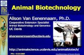 Animal Biotechnology · Animal Biotechnology and Genomics Education Animal biotechnology Artificial selection (breeding programs) Artificial Insemination Embryo transfer Using DNA