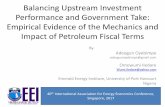Balancing Upstream Investment Performance and Government ... 201… · • Progressive fiscal instruments should be incorporated in the fiscal systems of regions with high geologic