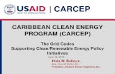 CARIBBEAN CLEAN ENERGY PROGRAM (CARCEP)€¦ · in an outage of more than 10 GW in Central Europe, the contingency reserve was only 3 GW. ... – Plant specific studies that may be