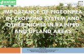 Importance in Cropping system - OAR@ICRISAToar.icrisat.org/8806/1/Importance in Cropping system.pdf · IMPORTANCE OF PIGEONPEA IN CROPPING SYSTEM AND OTHER NICHES IN RAINFED AND UPLAND