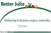 Reducing fruit juice sugars, naturally....4 September 2018 1 Reducing fruit juice sugars, naturally. eran@better-juice.com Tel: 972-55-2225876