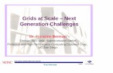 Grids at Scale – Next Generation Challengestheory.uchicago.edu/~smaria/aaas05-grids/fran-lec.pdf · 2005-03-02 · Kesselman (ISI) Butler (NCSA) Data Baru (SDSC) Applications WIlliams