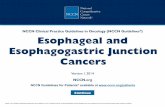 NCCN Clinical Practice Guidelines in Oncology (NCCN ... · Esophageal and Esophagogastric Junction Cancers Updates in version 1.2014 of the Esophageal and Esophagogastric Junction