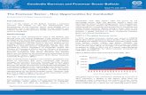 Cambodia Garment and Footwear Sector Bulletin The Footwear ... · shoes at a value of US$98 (US), US$52.8 (EU), and US$49.9 (Japan) per inhabitant. Among European countries Germany,