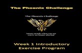 Week 1 Introductory Exercise Program ·  Week 1 - Workout 1 Warm Up Instructions: Complete each exercise in the warm up once, for 30 seconds.