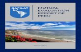 MUTUAL EVALUATION REPORT OF PERU - FATF-GAFI.ORG · MUTUAL EVALUATION REPORT OF THE REPUBLIC OF PERU ... SUCAMEC National Superintendence for the Control of Security Services, Firearms,