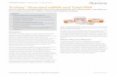 TruSeq Stranded mRNA and Total RNA - Illumina, Inc. · PrepareLibrary | Sequence | AnalyzeData Highlights l PreciseMeasurementofStrandOrientation Enablesdetectionofantisensetranscription,enhances