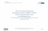 EU investment protection after the ECJ opinion on · EU’s investment policy after the Court of Justice of the European Union (CJEU)’sOpinion on the Singapore free trade agreement