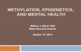 METHYLATION, EPIGENETICS, AND MENTAL HEALTH...Gene Expression Requires Uncoiling of DNA ! Gene expression involves direct interaction of RNA polymerase and transcription factors with