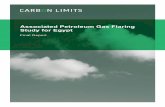 Associated Petroleum Gas Flaring Study for Egypt · 2020-04-06 · Associated Petroleum Gas Flaring Study for Egypt 5 1. Main conclusions This report presents the main results from