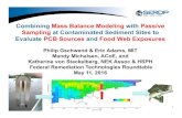 Combining Mass Balance Modeling with Passive …...1 Combining Mass Balance Modeling with Passive Sampling at Contaminated Sediment Sites to Evaluate PCB Sources and Food Web Exposures