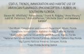 Status, trends, immigration and habitat use of American ......STATUS, TRENDS, IMMIGRATION AND HABITAT USE OF AMERICAN FLAMINGOS ( PHOENICOPTERUSRUBER) IN SOUTHERN FLORIDA. Steven M.