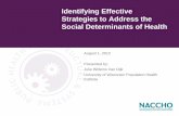 Identifying Effective Strategies to Address the Social … · • Plan strategies and tactics for addressing the social determinants of health along with community members and LPHS