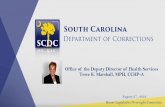 Office of the Deputy Director of Health Services Terre K ... · Office of the Deputy Director of Health Services Terre K. Marshall, MPH, CCHP -A August 27 , 2019 ... • Daily operations