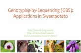 Genotyping- by -Sequencing (GBS): Applications in Sweetpotato · * Align to reference genome *call SNP genotypes ... SNP calling: pipeline 1) Quality check on raw reads (FASTX toolkit)
