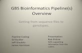 GBS Bioinformatics Pipeline Overview - Cornell Universitycbsu.tc.cornell.edu/lab/doc/GBS_Bioinformatics... · Why another pipeline? •The last maize build (30000 taxa) with the discovery