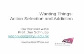 Wanting Things: Action Selection and Addictionhowyourbrainworks.net/HYBWfiles/HYBW_Action... · brainstem and midbrain have opiate receptors. • Striatal neurons carry cholinergic