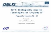 SP 5: Biologically Inspired Techniques for “Organic IT”davidhales.name/talks/paderborn2005/unibo-paderborn7b.pdf · Goals of SP5 “Biologically Inspired Techniques for Organic