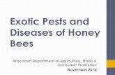 Exotic Pests and Diseases of Honey Bees Pests and... · National Honey Bee Health Survey •Began in 2009 •Document which bee diseases, parasites, or pests of honey bees are present